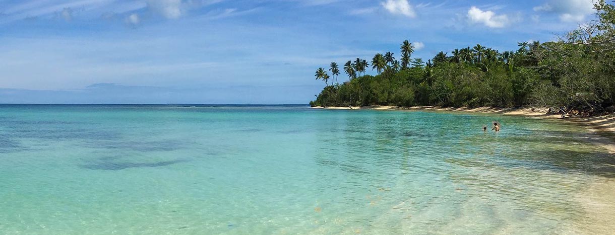 Guías educativas sobre ecosistemas marinos y cambio climático